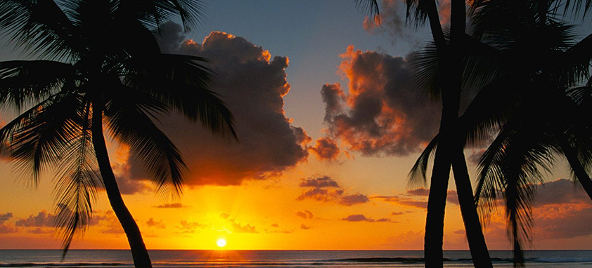 手机号连环呼叫软件